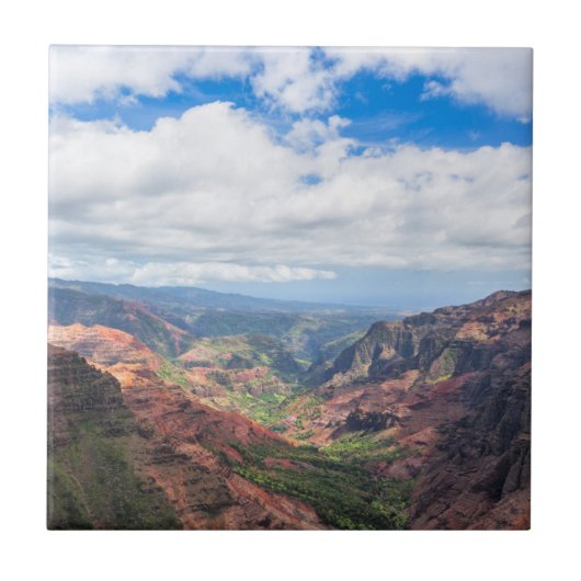 Carreau Le canyon de Waimea (Devant)
