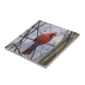 Carreau Le Cardinal du Nord au matin agité (Côté)