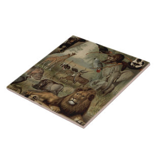 Carreau Le carrelage de la jungle Vintage