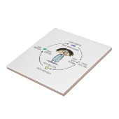 Carreau Le cercle des médicaments (Côté)