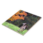 Carreau Le cerf dans un champ d'automne II (Côté)
