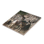 Carreau Le cerf dit bonjour (Côté)