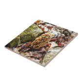 Carreau Le champignon Morel dans la nature (Côté)