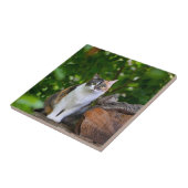 Carreau Le chat (Côté)