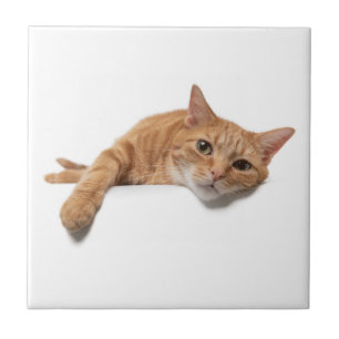 Carreau Le Chat Orangé s'allonge
