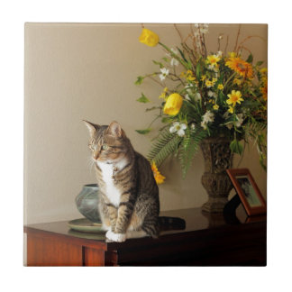 Carreau Le chat tigré noir Brown se reposant sur le piano