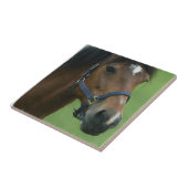 Carreau Le cheval Arabe décrit la tuile (Côté)