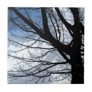 Carreau Le ciel bleu et l'art de l'arbre à l'aulne
