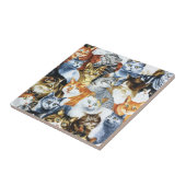 Carreau Le Clowder de CATS (Côté)