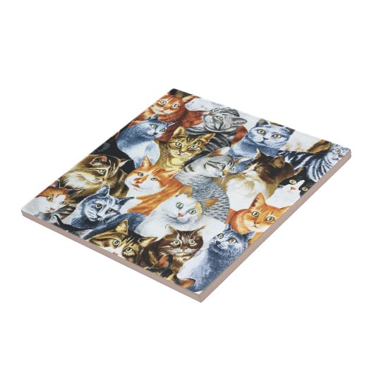 Carreau Le Clowder de CATS (Côté)