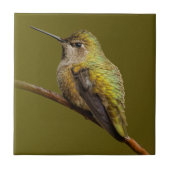 Carreau Le colibri d'Anna sur Trumpetvine écarlate (Devant)