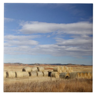 Carreau Le comté de Crook, balles de foin