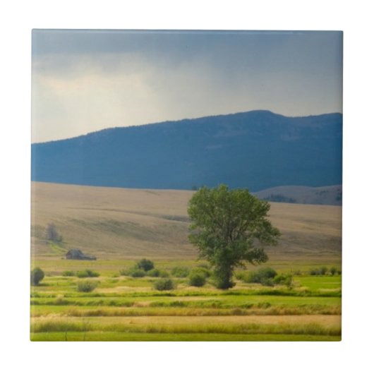 Carreau Le comté de Granite Montana (Devant)