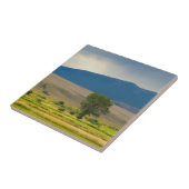 Carreau Le comté de Granite Montana (Côté)