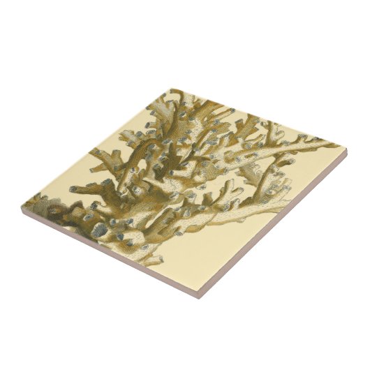 Carreau Le corail de la mer (Côté)