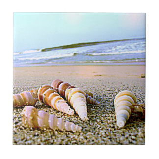 Carreau Le côté de mer écosse la tuile