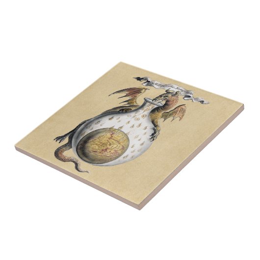 Carreau Le creuset du dragon (Côté)