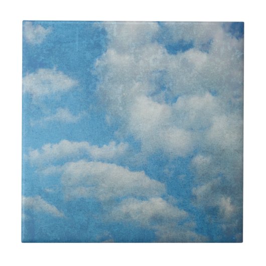 Carreau Le cru affligé opacifie l'arrière - plan (Devant)