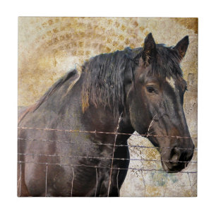 Carreau Le doux, cheval de trait d'A