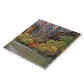 Carreau Le feuillage d'automne le long de la rivière Virgi (Côté)