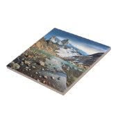 Carreau Le Fitz célèbre Roy (Côté)