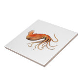 CARREAU LE GRAND (Côté)