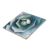 Carreau Le jardin botanique de Huntington (Côté)