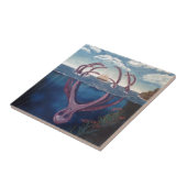 Carreau Le Kraken (Côté)