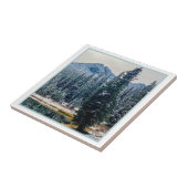 Carreau Le lac Anthony (Côté)