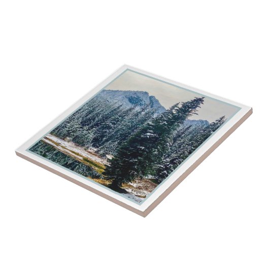 Carreau Le lac Anthony (Côté)