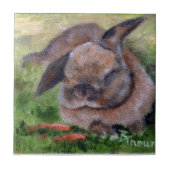 Carreau Le lapin rêve la tuile (Devant)