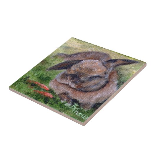 Carreau Le lapin rêve la tuile (Côté)