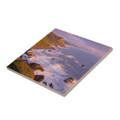 Carreau Le littoral de Redwoods, Californie (Côté)