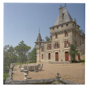 Carreau Le magnifique Château de Pressac et jardin