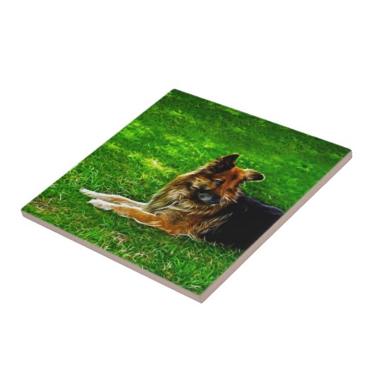 Carreau Le meilleur ami #1 de l'homme (Côté)