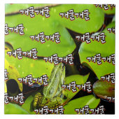 Carreau Le Mot Fascinant : "개 굴 개 굴"(gae-gool gae-gool) (Devant)