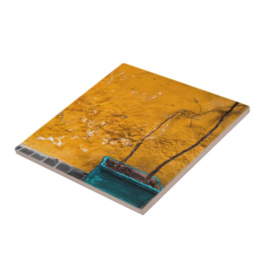 Carreau Le mur jaune (Côté)