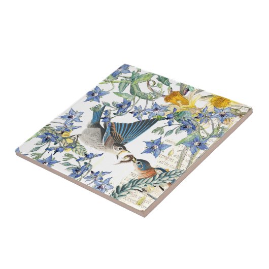 Carreau Le narcisse d'oiseaux d'oiseau bleu d'Audubon (Côté)