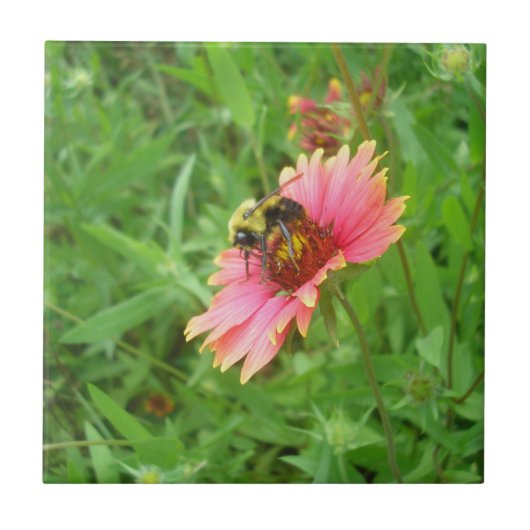 Carreau Le nectar de la vie (Devant)