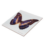 Carreau Le papillon avec des ailes a écarté 3 (Côté)