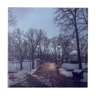 Carreau Le parc de la ville enneigé en hiver le soir