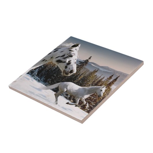 Carreau Le pays des merveilles d'hiver (Côté)