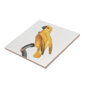 Carreau Le perroquet du Sénégal (Côté)