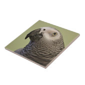 Carreau Le perroquet gris africain du Congo (Côté)