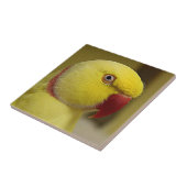 Carreau Le perroquet jaune vif de l'Indien Lutino Ringneck (Côté)