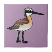 Carreau Le Phalarope de Wilson (Devant)