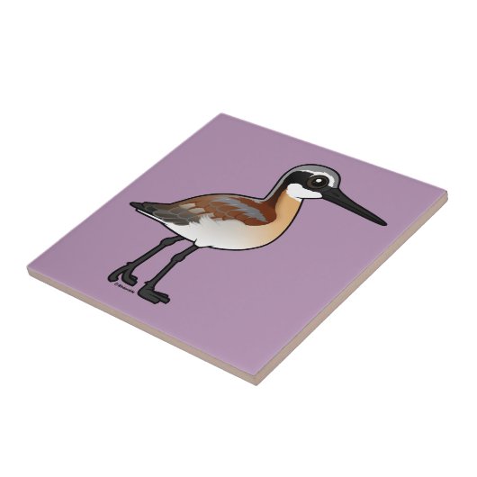 Carreau Le Phalarope de Wilson (Côté)