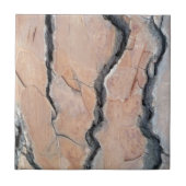 Carreau Le pin d'Alep (Devant)