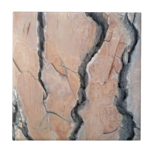 Carreau Le pin d'Alep