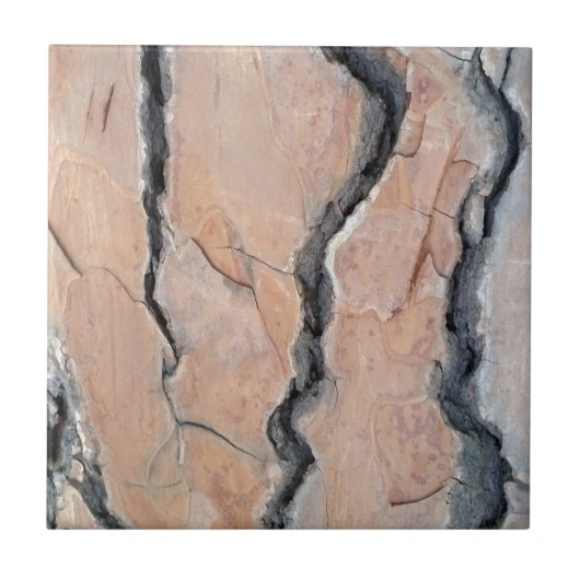 Carreau Le pin d'Alep (Devant)